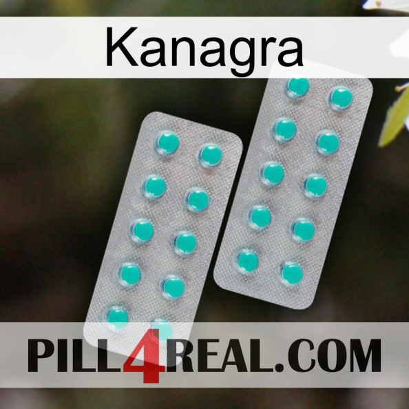 Kanagra 29.jpg